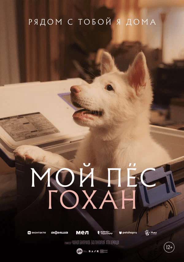 Постер: Мой пес Гохан